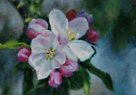 Apple blossom<br>
A5 - acrylic on paper