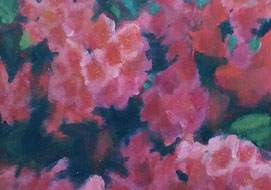 Azaleas<br>
A4 - acrylic on paper