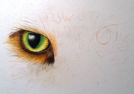 Cat eye<br>
A4 - pastel on paper