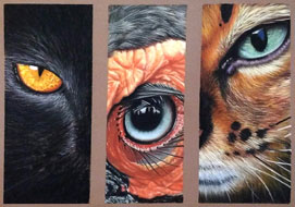 Animal eyes<br>
18 x 24 cm - pastel on paper