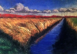 Afternoon reed<br>
A4 - pastel on paper